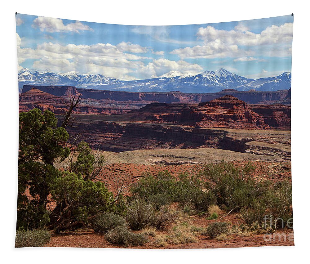 Utah Landscape Tapestry featuring the photograph The Red Divide by Jim Garrison