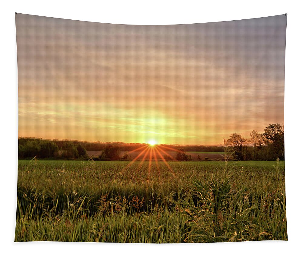 Sunrise Tapestry featuring the photograph The Rising Sun by Bonfire Photography