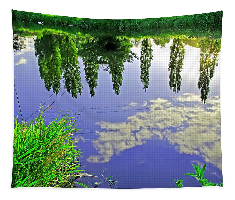 Europe Tapestry featuring the photograph The River Trent Reveals by Rod Johnson