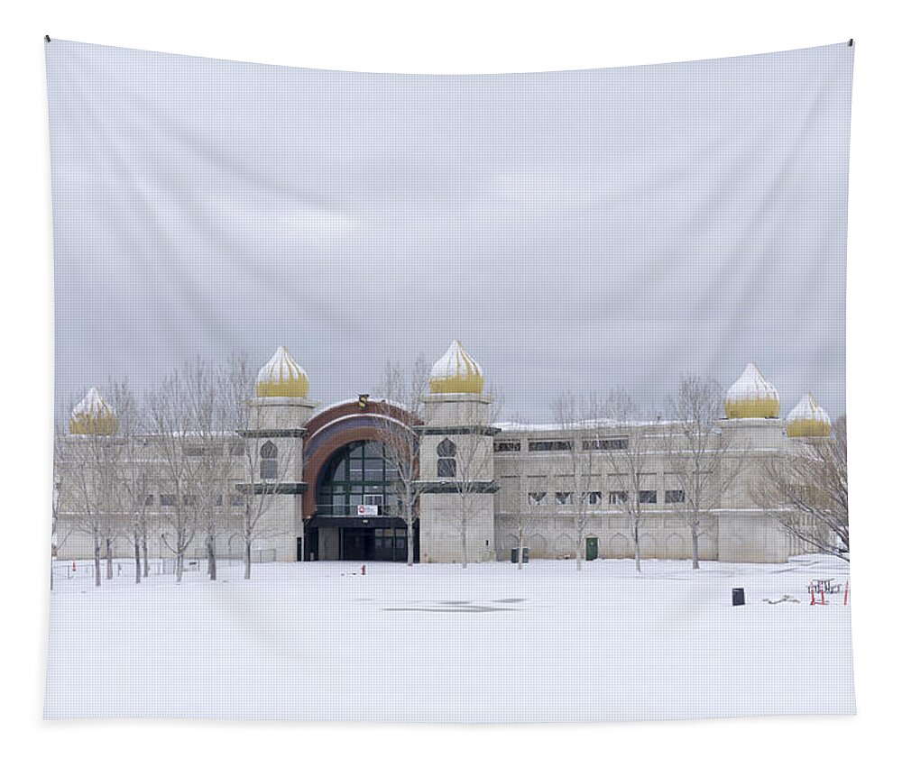 Salt Palace Tapestry featuring the photograph The Salt Palace in Winter by Cathy Anderson