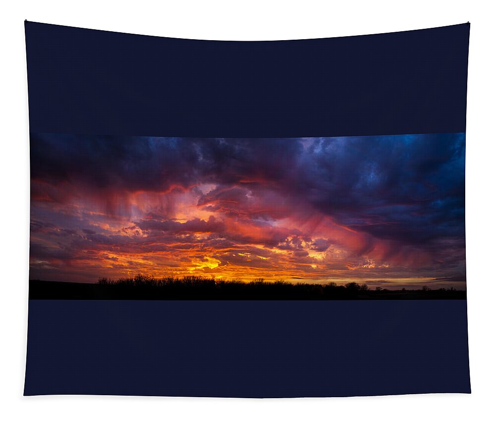 Landscape Tapestry featuring the photograph The Sentinel's Surprise by Jeff Phillippi
