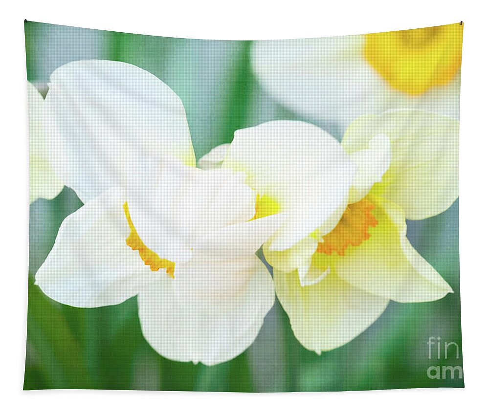 Daffodils Tapestry featuring the photograph The Shy Couple by Anita Pollak