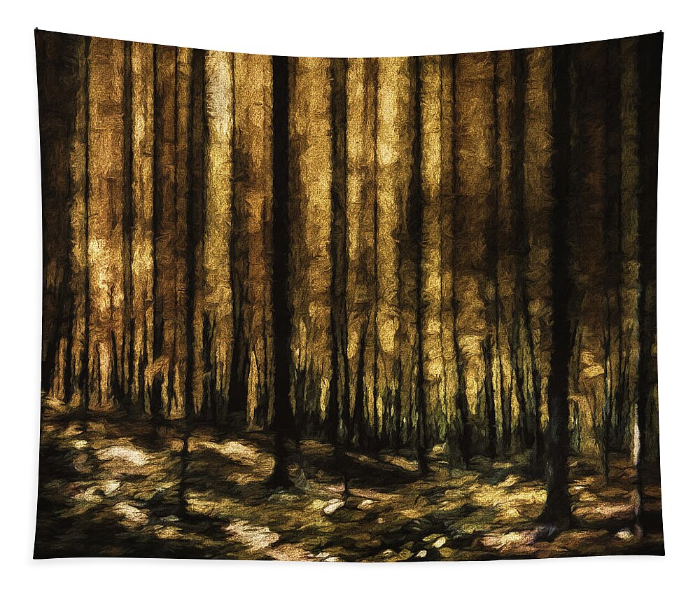 Scott Norris Photography Tapestry featuring the photograph The Silent Woods by Scott Norris