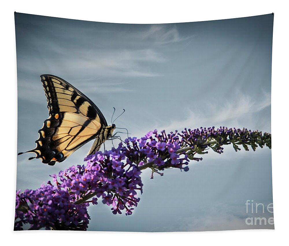 Swallowtail Tapestry featuring the photograph The Sky Is The Limit by Judy Wolinsky