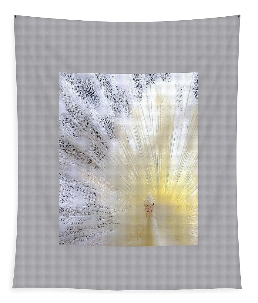 Bird Tapestry featuring the photograph The Softer Side of White by Lori Lafargue