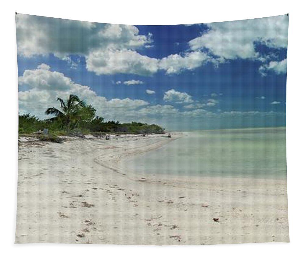 Nature Tapestry featuring the photograph The Spirit of Caribbean by Robert Grac