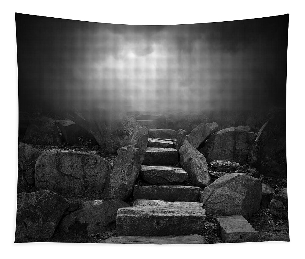 Stone Tapestry featuring the photograph The Stone Steps I by David Gordon