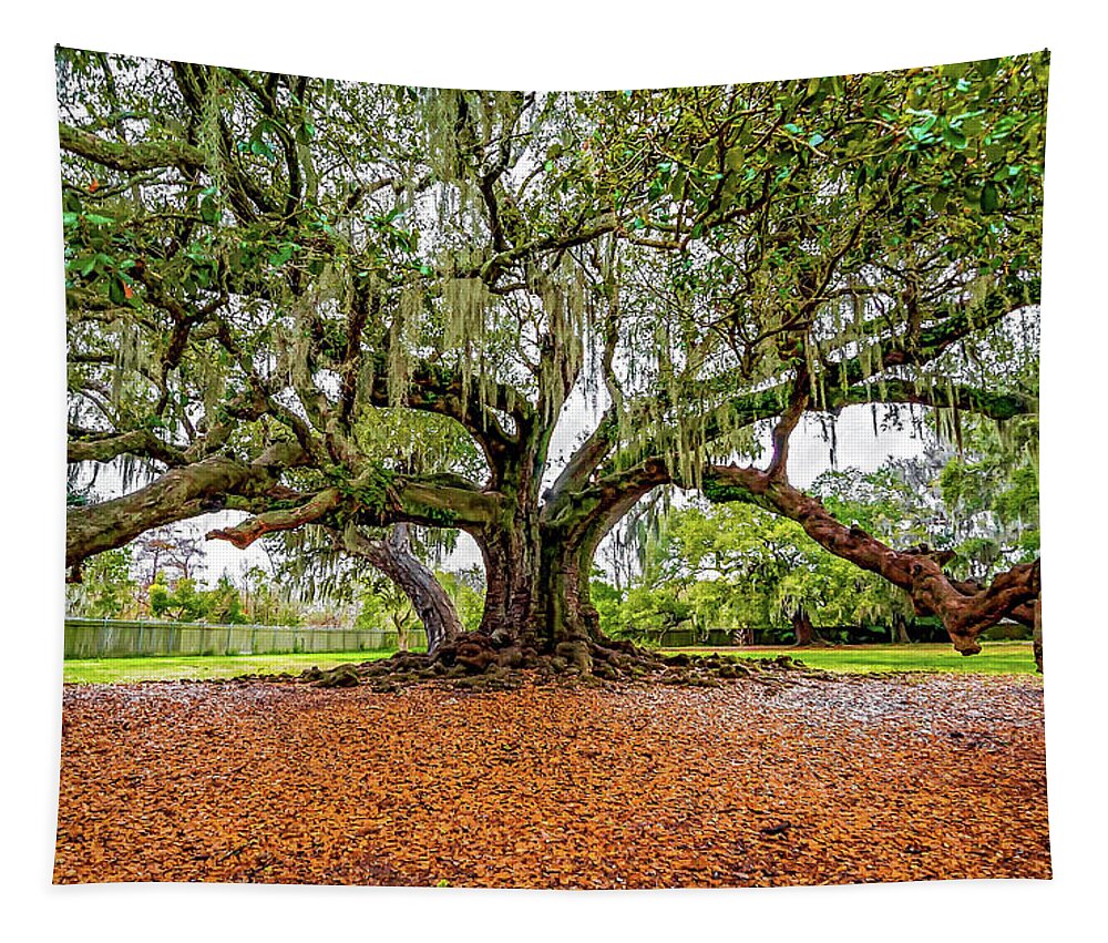 New Orleans Tapestry featuring the photograph The Tree of Life by Steve Harrington