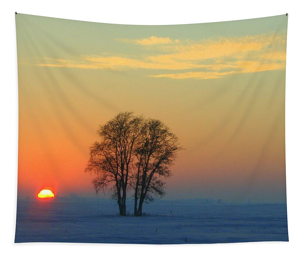 Landscape Tapestry featuring the photograph The Twins by Julie Lueders 