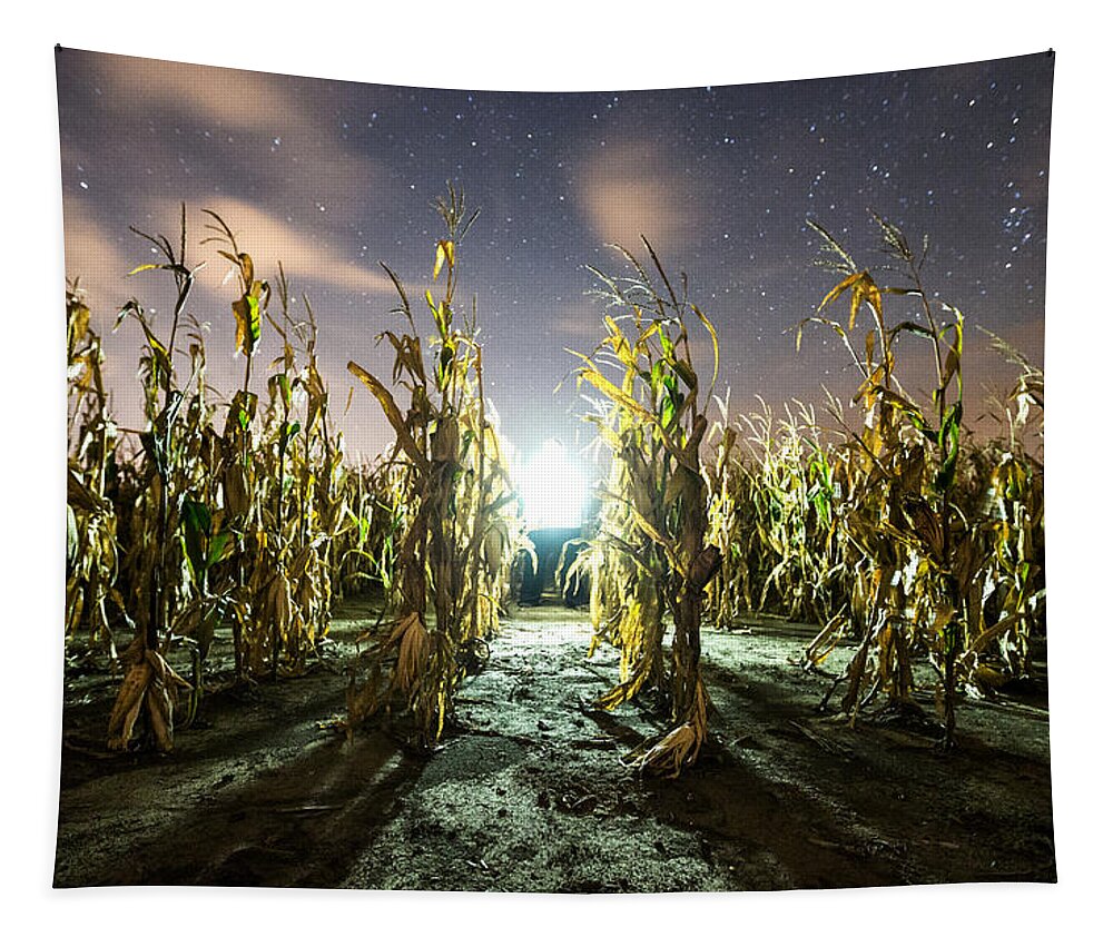  Tapestry featuring the photograph The Visitor by Aaron J Groen
