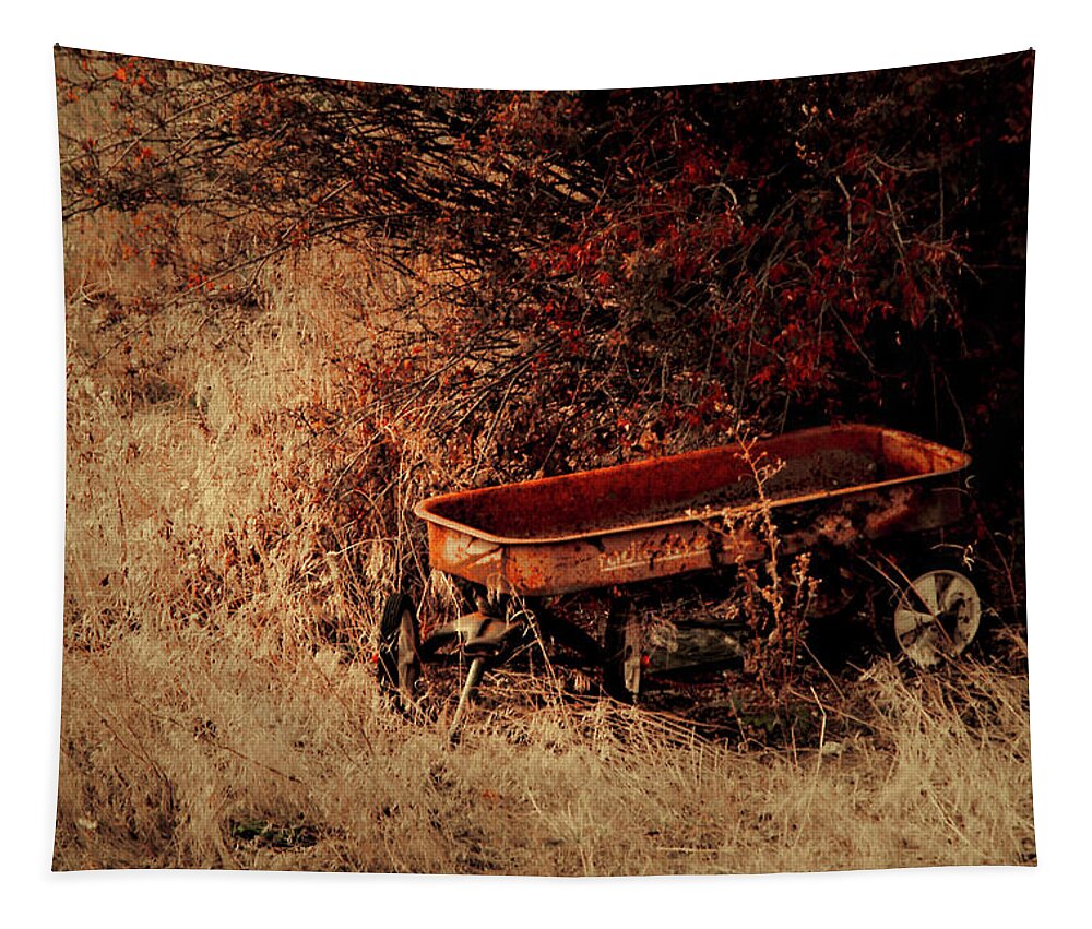 Wagon Tapestry featuring the photograph The Wagon by Troy Stapek
