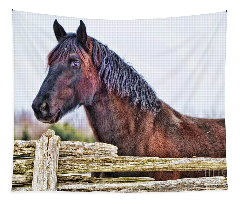 Horse Tapestry featuring the photograph The Watcher by Traci Cottingham