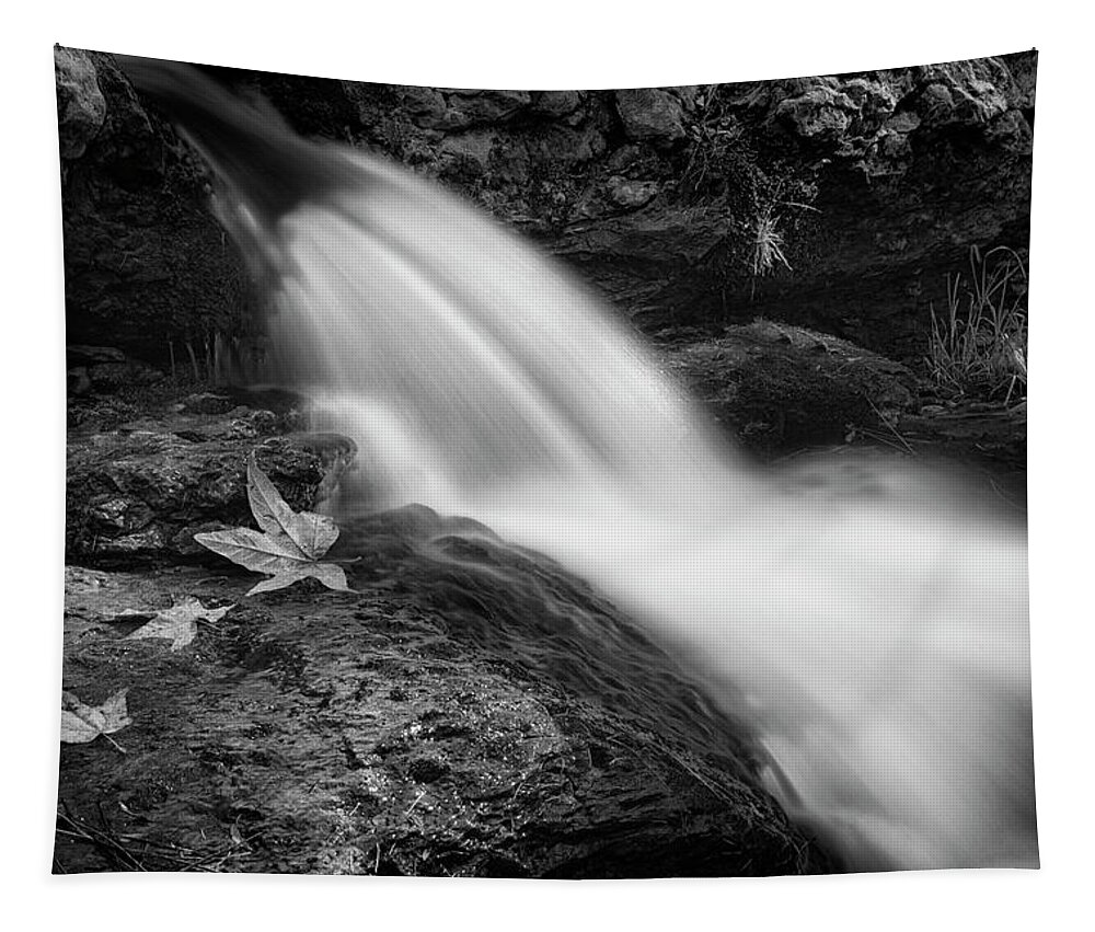 Creekside Tapestry featuring the photograph The Waterfall in Black and White by Saija Lehtonen