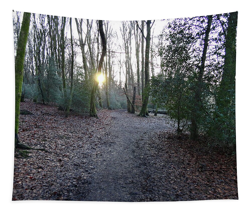 Nature Tapestry featuring the photograph The Woods in Winter by Richard Denyer