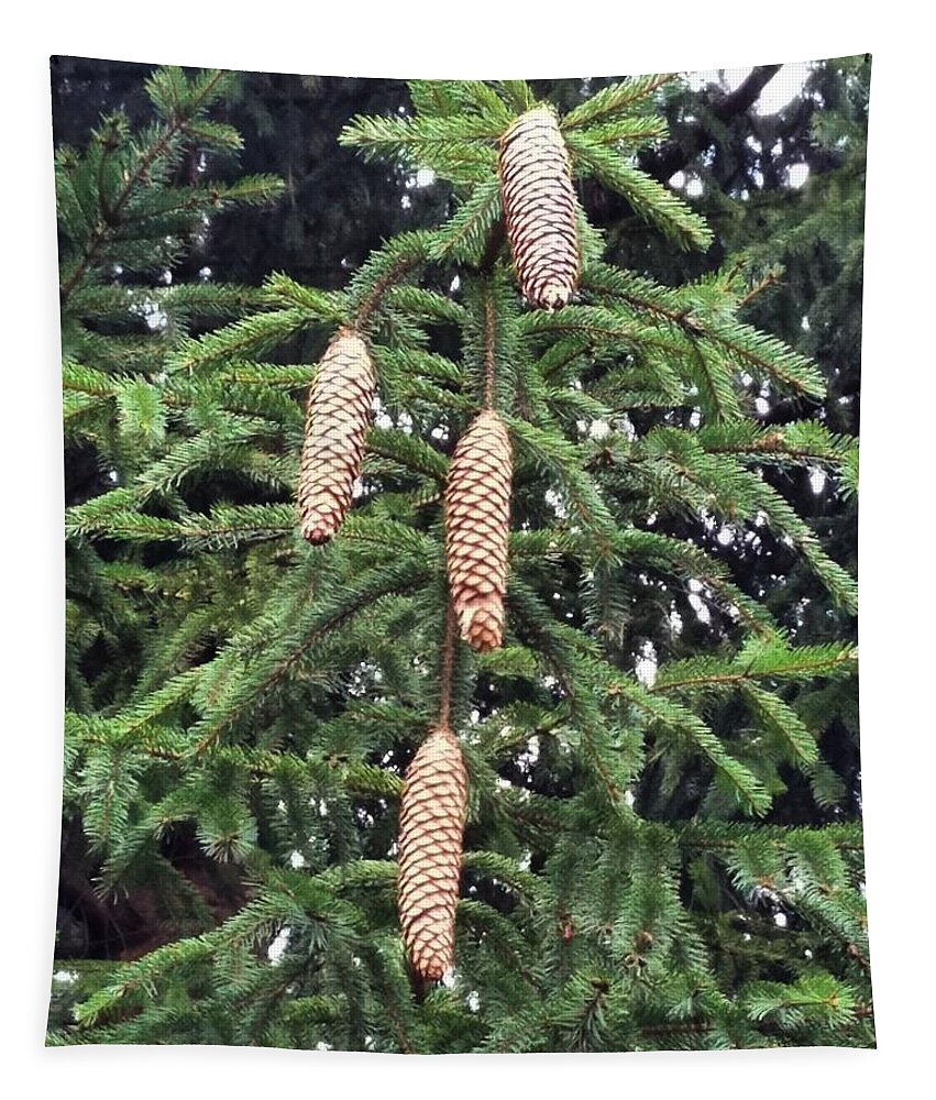 Pinecone Tapestry featuring the photograph Then There Were Four by Vic Ritchey