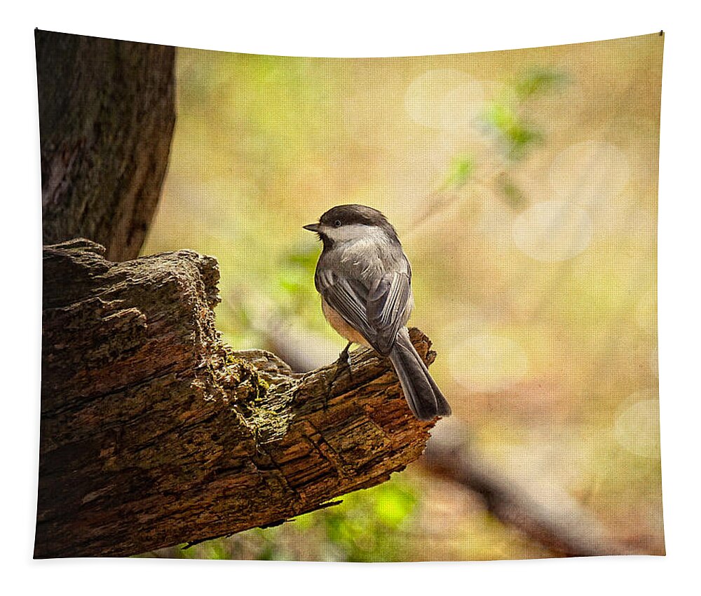 Bird Tapestry featuring the photograph Thinking of Spring by Lois Bryan