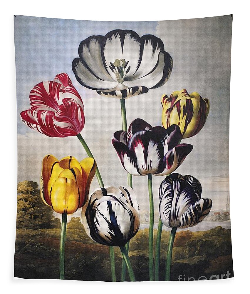 1798 Tapestry featuring the painting Tulips by Philip Reinagle