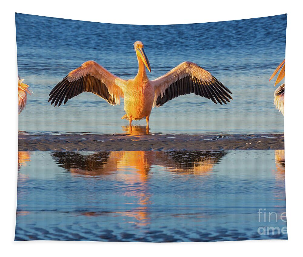 Africa Tapestry featuring the photograph Three Pelicans by Inge Johnsson