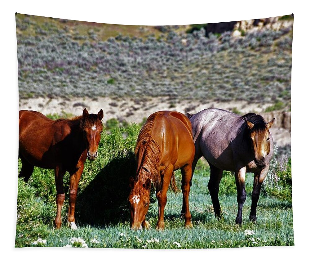 Horses Tapestry featuring the photograph Three Together by Merle Grenz