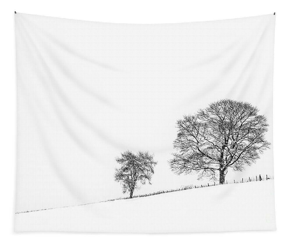 Trees In Winter Tapestry featuring the photograph Three Trees On The Hill by Richard Burdon