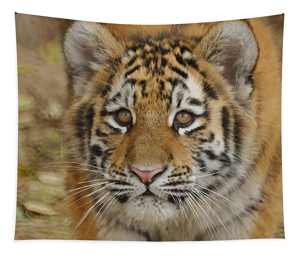 Tiger Cub Tapestry featuring the photograph Tiger Cub by Ernest Echols