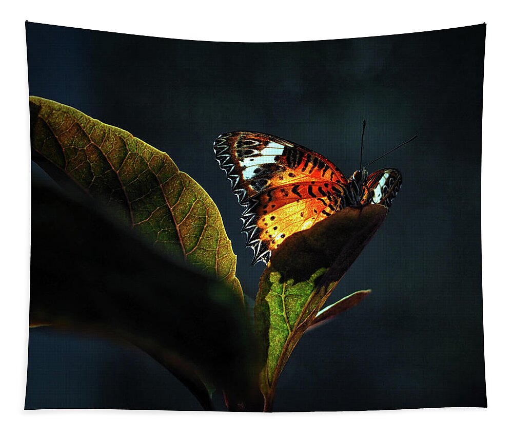 Butterfly Tapestry featuring the photograph Leopard Lacewing Butterfly In A Sunbeam by Bill Swartwout