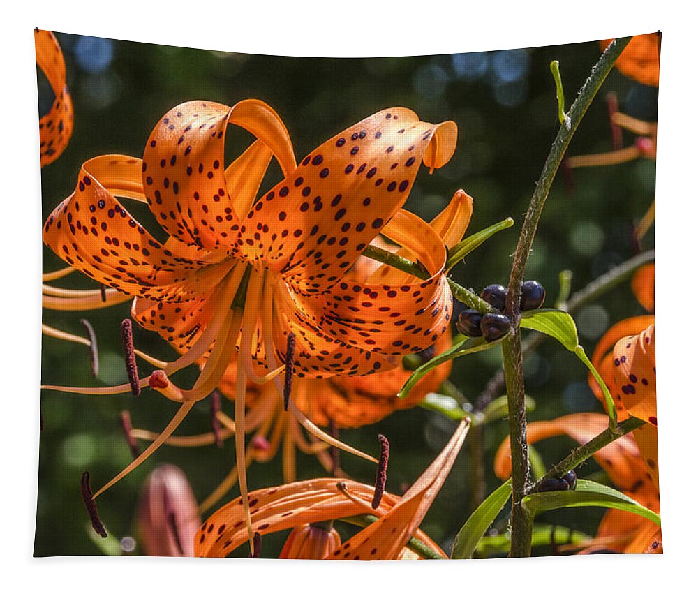 Tiger Lilies Tapestry featuring the photograph Tiger Lilies in the Sun by Lynn Hansen