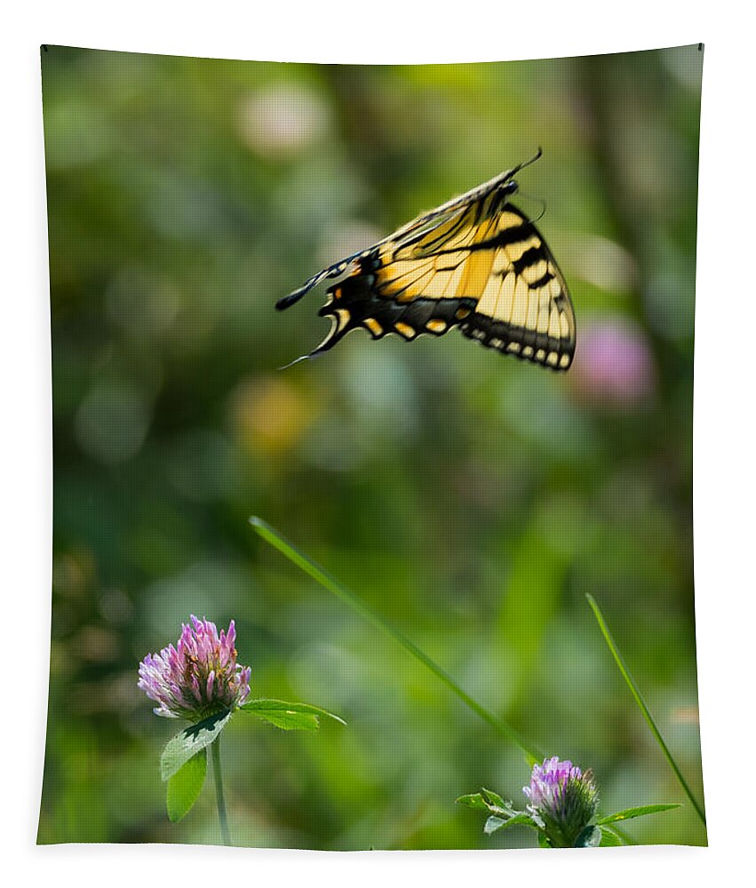Tiger Swallowtail Butterfly In Flight Tapestry featuring the photograph Tiger Swallowtail Butterfly In Flight by Holden The Moment