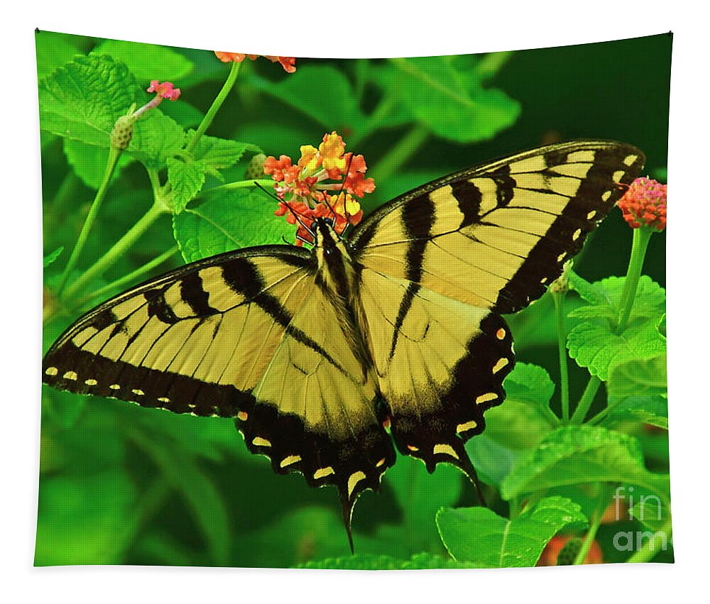 Butterfly Tapestry featuring the photograph Tiger Swallowtail Butterfly by Kathy Baccari