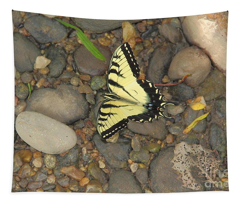 Butterfly Tapestry featuring the photograph Time for a Rest by Allen Nice-Webb