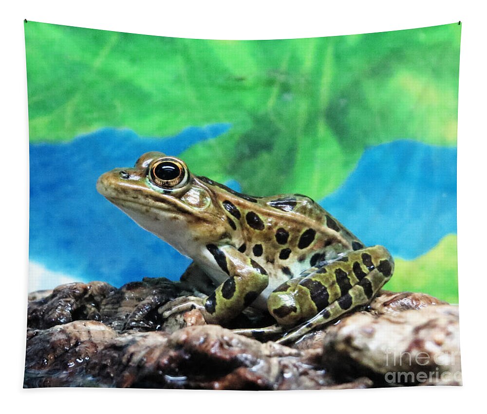Object Tapestry featuring the photograph Tiny Frog by Dawn Gari