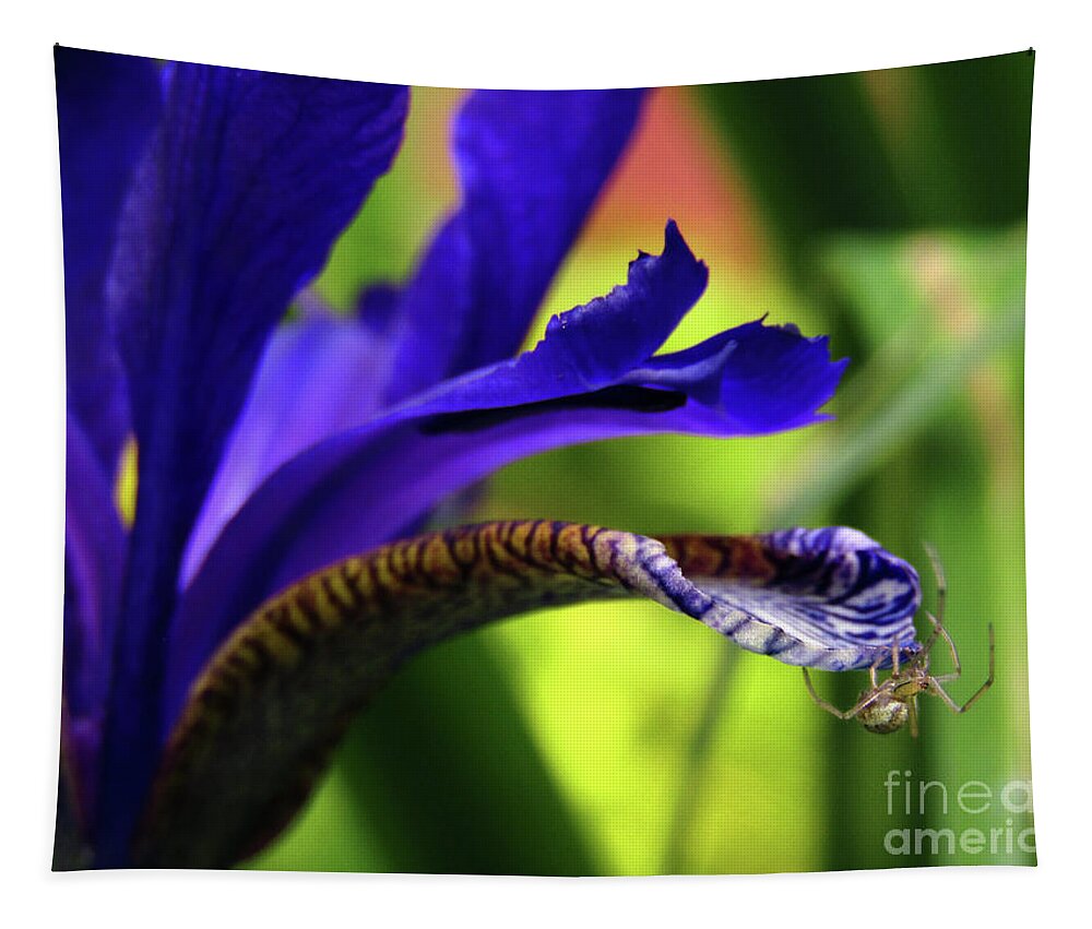 Spider Tapestry featuring the photograph Tiny Spider On Iris by Kim Tran