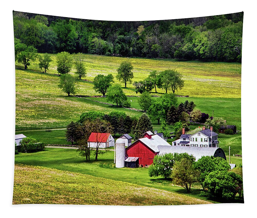 Tioga County Farmstead Tapestry featuring the photograph Tioga County Farmstead by Carolyn Derstine