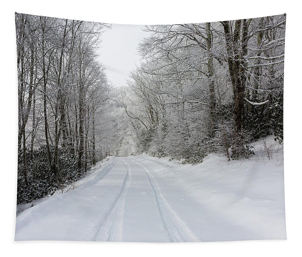 Snow Tapestry featuring the photograph Tire Tracks In Fresh Snow by D K Wall