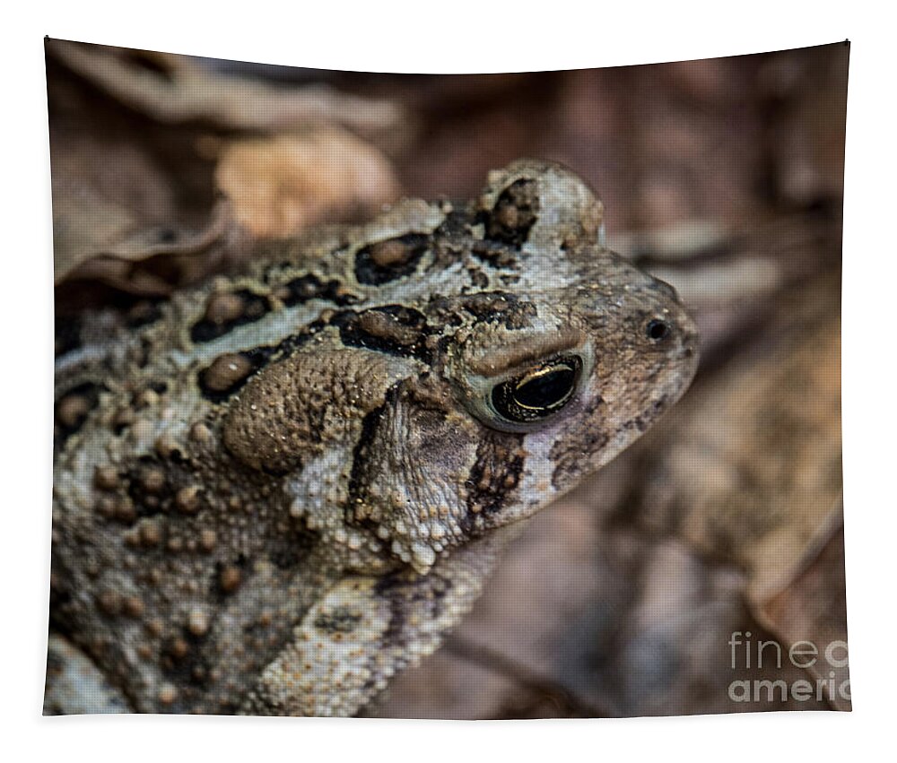 Toad Tapestry featuring the photograph Toad Head by Grace Grogan