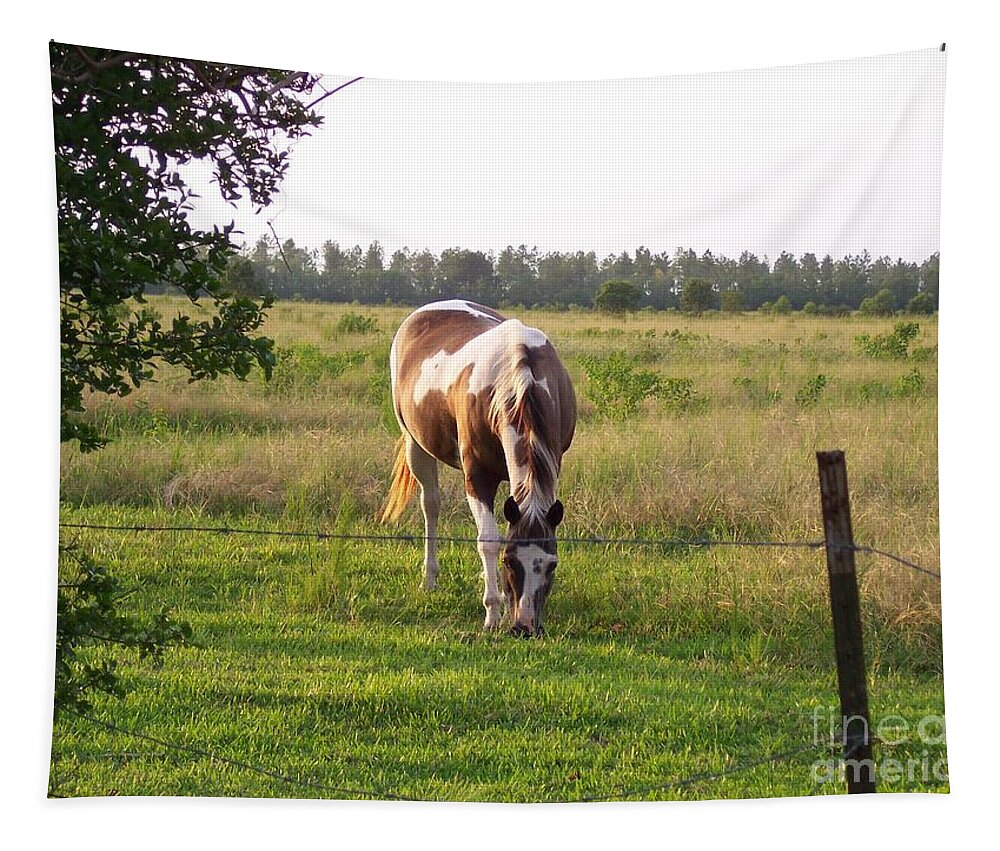Horse Tapestry featuring the photograph Tobiano Horse in Field by Brandy Woods