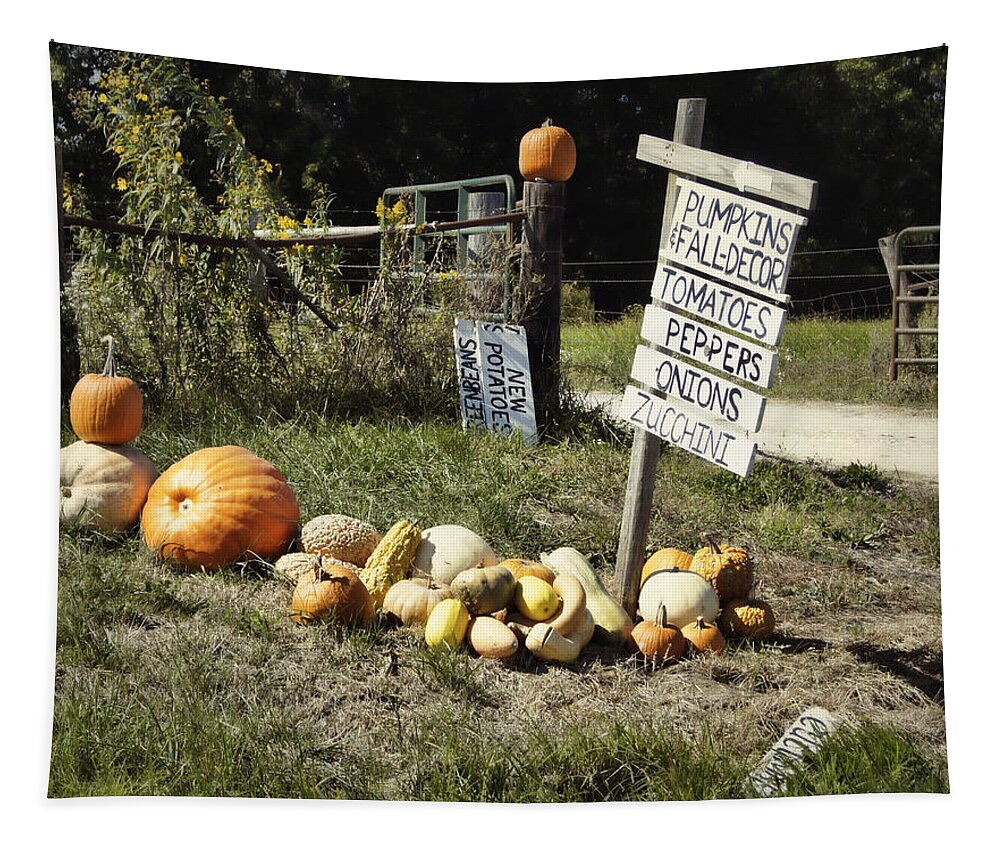 Harvest Tapestry featuring the photograph Today's Harvest by Cricket Hackmann