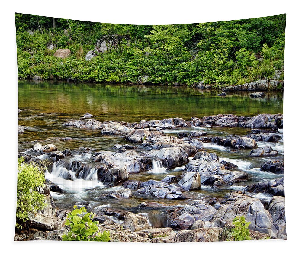 Scene Tapestry featuring the photograph Top of the Shut-Ins by Cricket Hackmann