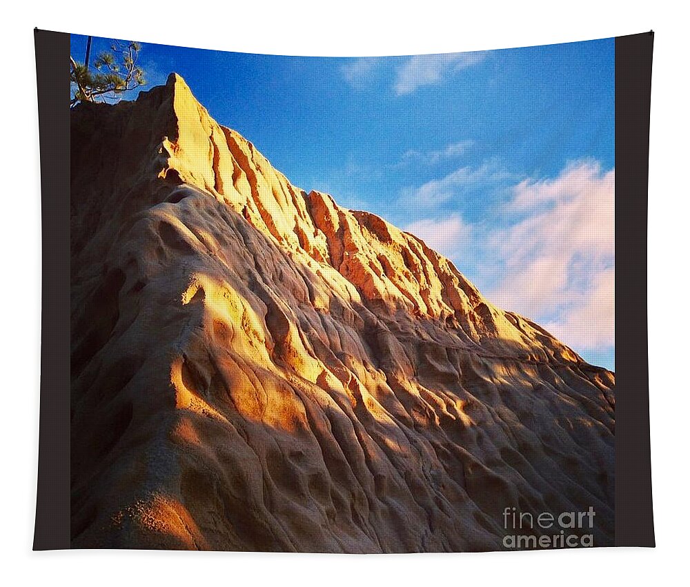 Torrey Pines State Reserve Tapestry featuring the photograph Torrey Pines State Reserve by Denise Railey