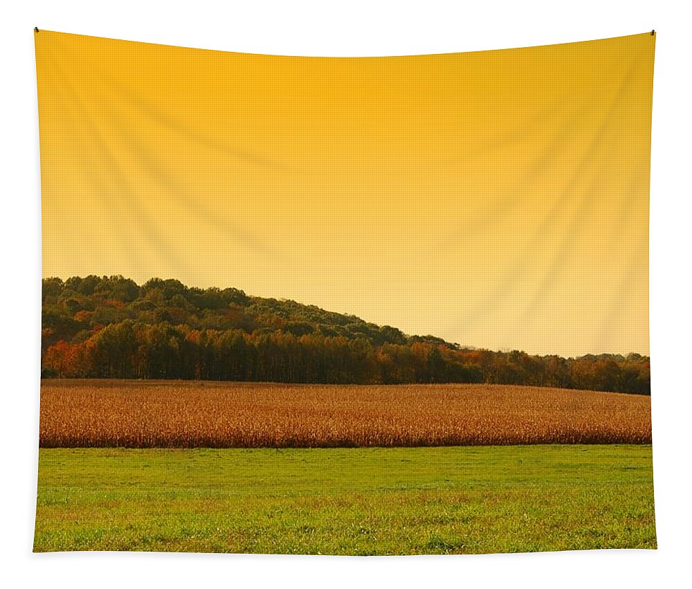 Autumn Landscapes Tapestry featuring the photograph Touched By Golden Light - Battlefield Orchards by Angie Tirado