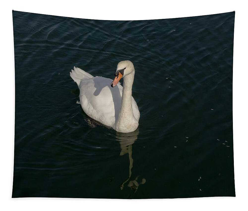 Swan Tapestry featuring the photograph Tour de Swan. Deux. by Elena Perelman