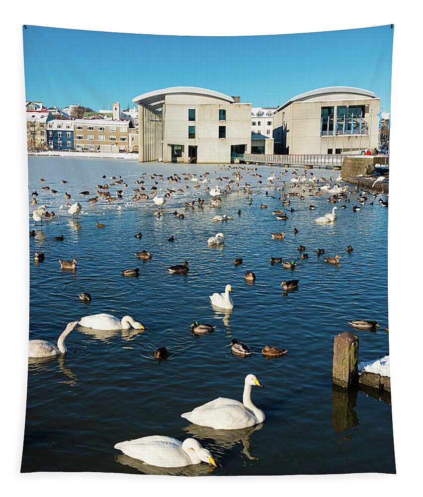 Reykjavik Tapestry featuring the photograph Town hall and swans in Reykjavik Iceland by Matthias Hauser