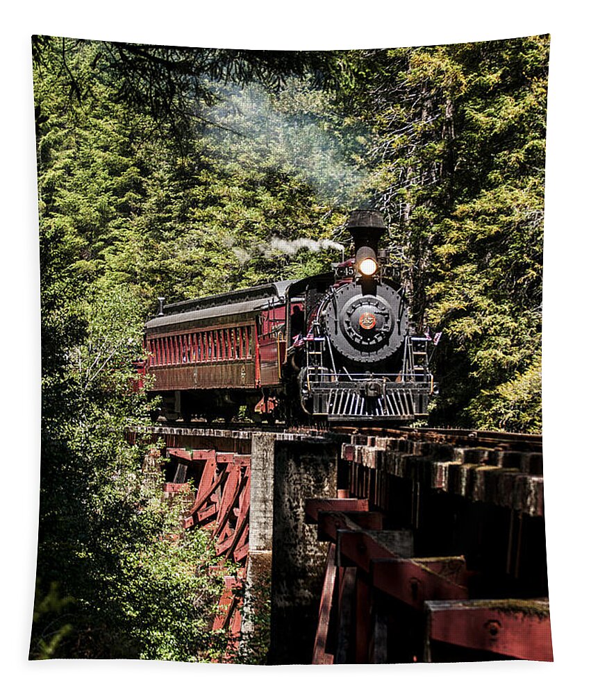 Steam Tapestry featuring the photograph Train and Trestle by Betty Depee