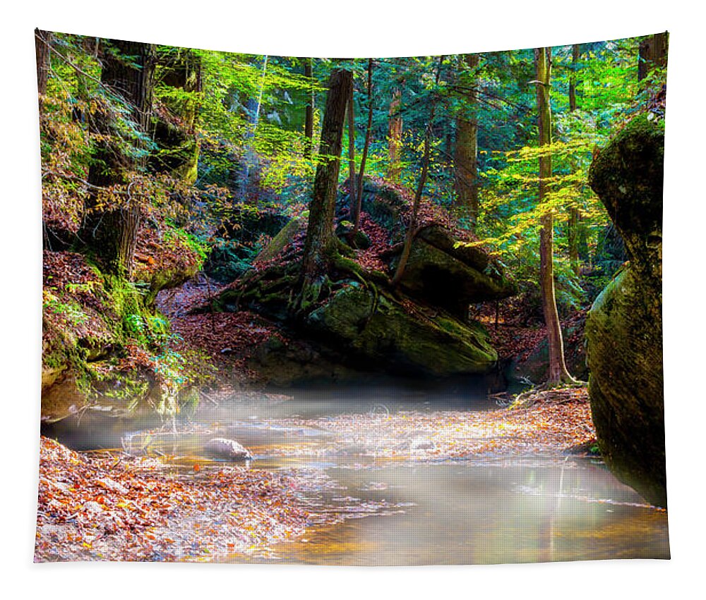 Canyon Tapestry featuring the photograph Tranquil Mist by David Morefield