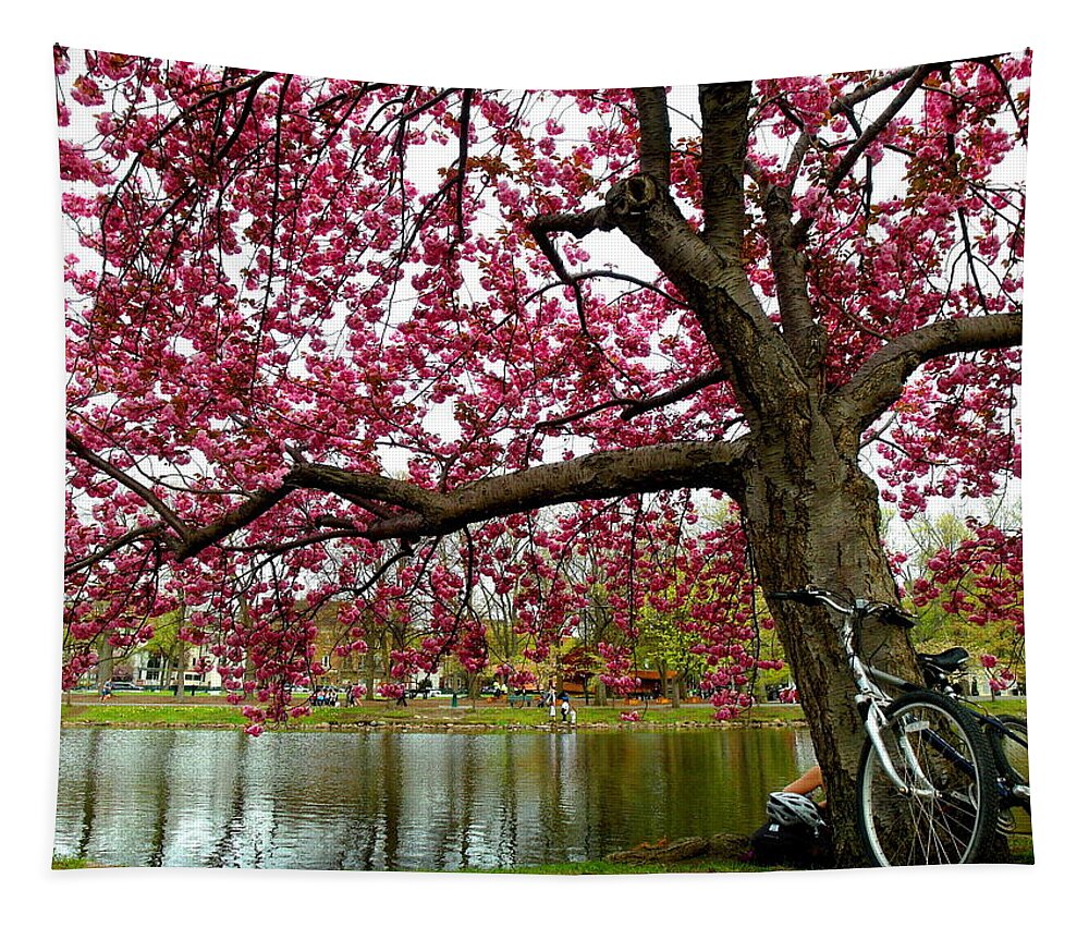 Boston Tapestry featuring the photograph Tranquility by Christopher Brown