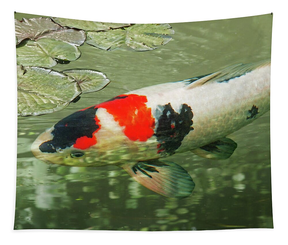 Japanese Koi Fish Tapestry featuring the photograph Tranquility - Red and Black Japanese Koi Fish by Gill Billington