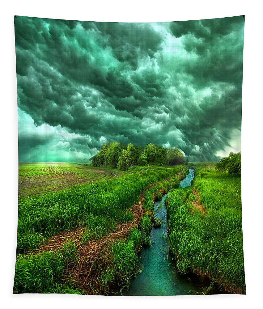 Storm Tapestry featuring the photograph Transformation by Phil Koch