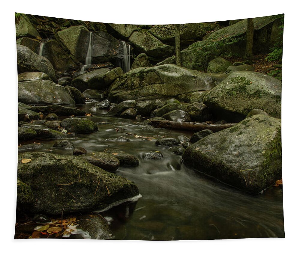 Trap Falls Tapestry featuring the photograph Trap Falls by Gales Of November