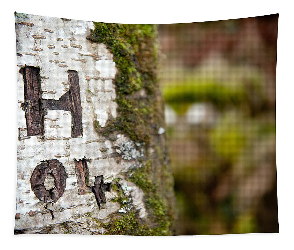 Tree Tapestry featuring the photograph Tree Bark Graffiti - H 04 by Helen Jackson