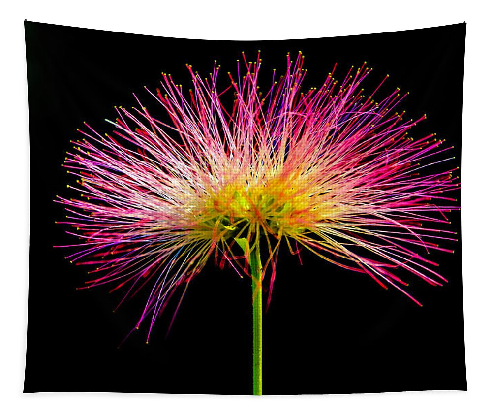 Tree-blossom Tapestry featuring the photograph Tree blossom by Wolfgang Stocker